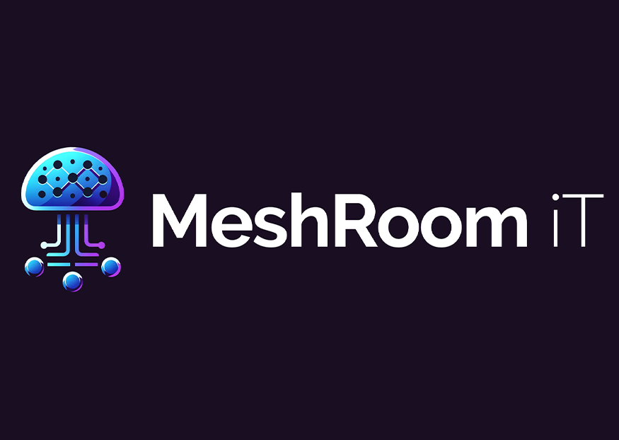 MeshRoom iT Slider